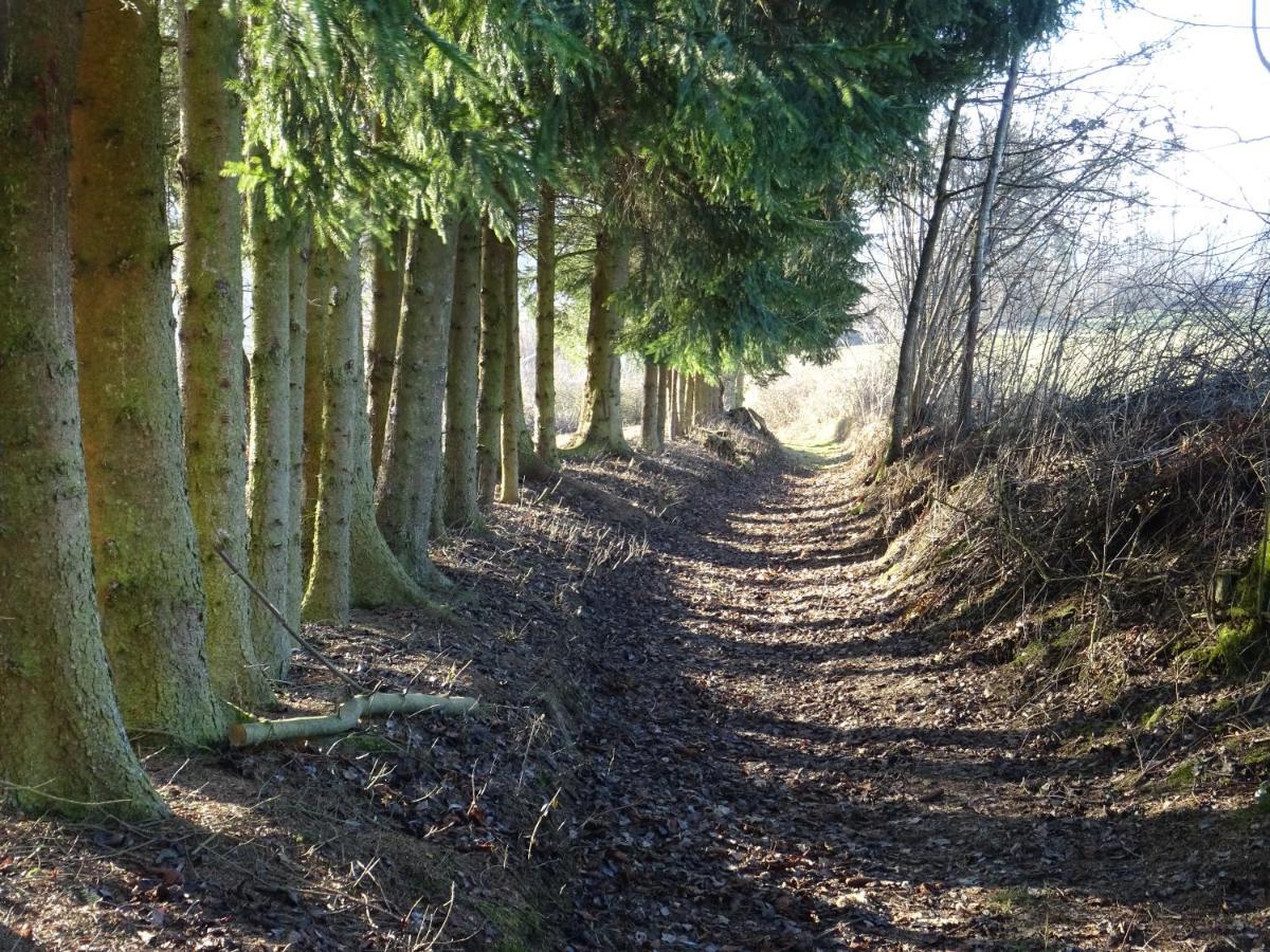 Cu-Ferienwohnungen - Nur Fuer Urlaubsgaeste Grafenwiesen Exterior foto